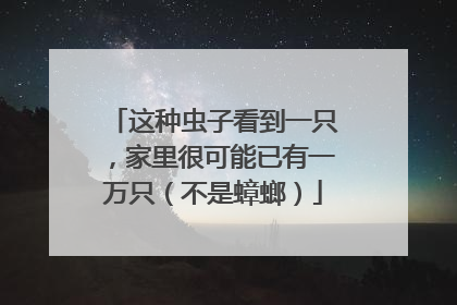 这种虫子看到一只，家里很可能已有一万只（不是蟑螂）