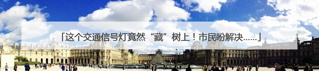这个交通信号灯竟然“藏”树上！市民盼解决……