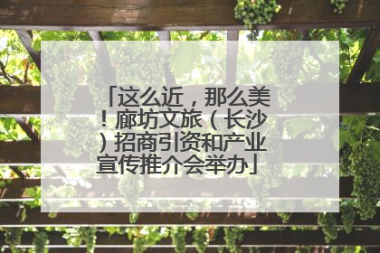 这么近，那么美！廊坊文旅（长沙）招商引资和产业宣传推介会举办