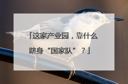 这家产业园，靠什么跻身“国家队”？