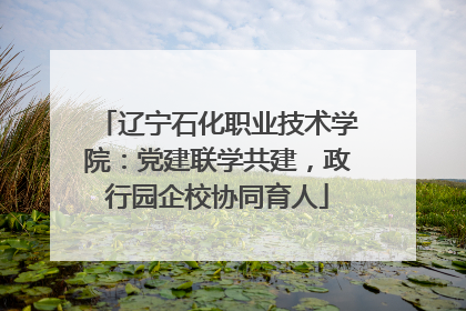 辽宁石化职业技术学院：党建联学共建，政行园企校协同育人