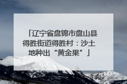 辽宁省盘锦市盘山县得胜街道得胜村：沙土地种出“黄金果”
