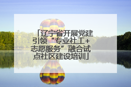 辽宁省开展党建引领“专业社工+志愿服务”融合试点社区建设培训