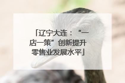 辽宁大连：“一店一策”创新提升零售业发展水平