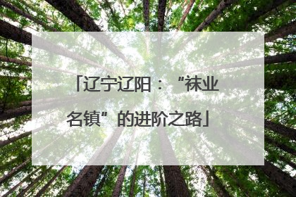 辽宁辽阳：“袜业名镇”的进阶之路