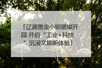 辽源黑金小镇璀璨开园 开启“工业+科技”沉浸文旅新体验