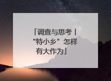 调查与思考丨“特小乡”怎样有大作为