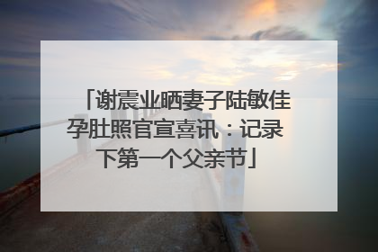 谢震业晒妻子陆敏佳孕肚照官宣喜讯：记录下第一个父亲节