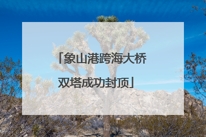 象山港跨海大桥双塔成功封顶
