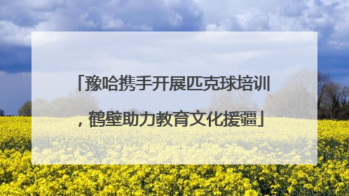 豫哈携手开展匹克球培训，鹤壁助力教育文化援疆