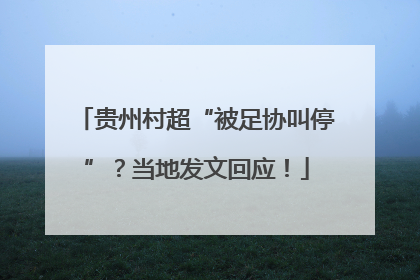贵州村超“被足协叫停”？当地发文回应！