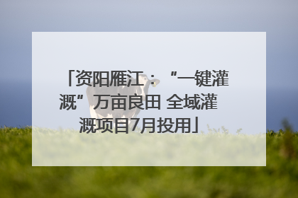 资阳雁江：“一键灌溉”万亩良田 全域灌溉项目7月投用