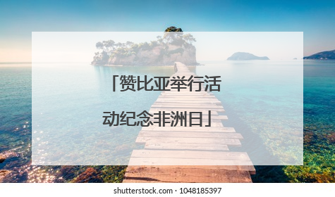 赞比亚举行活动纪念非洲日