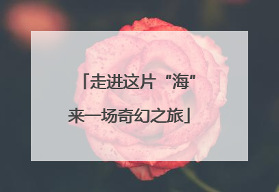 走进这片“海”来一场奇幻之旅