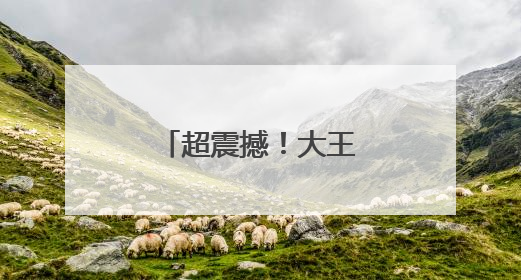 超震撼！大王山星光烟火季“霸屏”夜空