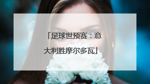 足球世预赛：意大利胜摩尔多瓦