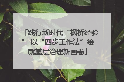 践行新时代“枫桥经验” 以“四步工作法”绘就基层治理新画卷