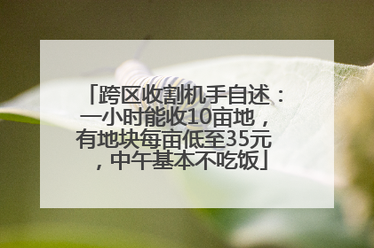 跨区收割机手自述：一小时能收10亩地，有地块每亩低至35元，中午基本不吃饭