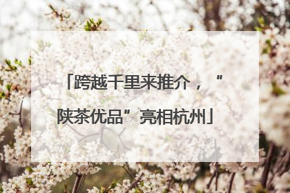 跨越千里来推介，“陕茶优品”亮相杭州