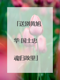 送别黄旭华 国士忠魂归故里