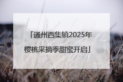 通州西集镇2025年樱桃采摘季甜蜜开启