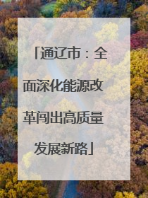 通辽市：全面深化能源改革闯出高质量发展新路