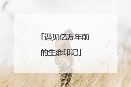 遇见亿万年前的生命印记