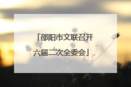邵阳市文联召开六届二次全委会