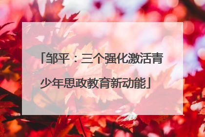 邹平：三个强化激活青少年思政教育新动能