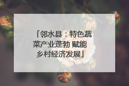 邻水县：特色蔬菜产业蓬勃 赋能乡村经济发展