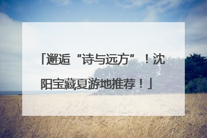 邂逅“诗与远方”！沈阳宝藏夏游地推荐！