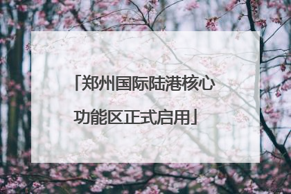 郑州国际陆港核心功能区正式启用