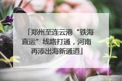 郑州至连云港“铁海直运”线路打通，河南再添出海新通道