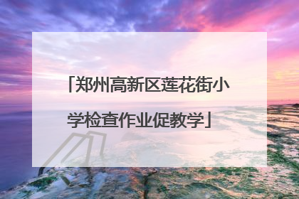 郑州高新区莲花街小学检查作业促教学
