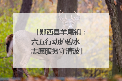 郧西县羊尾镇：六五行动护碧水 志愿服务守清波