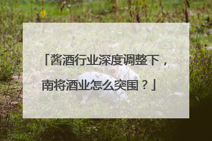 酱酒行业深度调整下，南将酒业怎么突围？