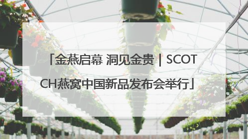 金燕启幕 洞见金贵｜SCOTCH燕窝中国新品发布会举行