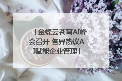 金蝶云苍穹AI峰会召开 各界热议AI赋能企业管理