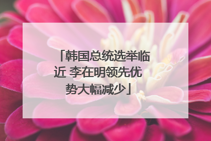 韩国总统选举临近 李在明领先优势大幅减少