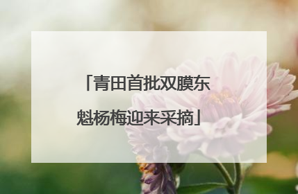 青田首批双膜东魁杨梅迎来采摘