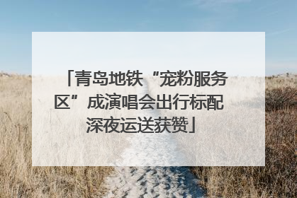 青岛地铁“宠粉服务区”成演唱会出行标配 深夜运送获赞