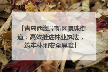 青岛西海岸新区隐珠街道：高效推进林业执法，筑牢林地安全屏障