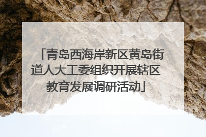 青岛西海岸新区黄岛街道人大工委组织开展辖区教育发展调研活动