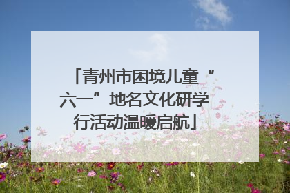 青州市困境儿童“六一”地名文化研学行活动温暖启航