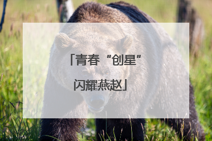 青春“创星” 闪耀燕赵