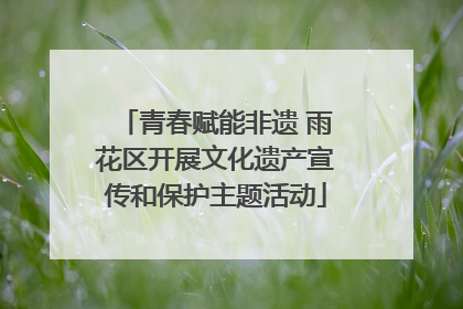 青春赋能非遗 雨花区开展文化遗产宣传和保护主题活动