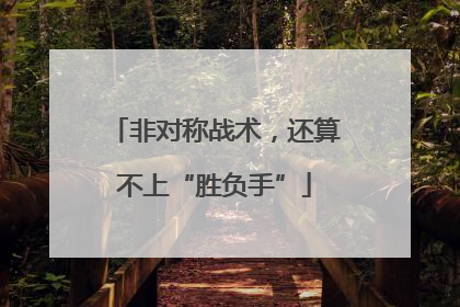 非对称战术，还算不上“胜负手”