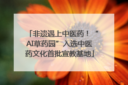 非遗遇上中医药！“AI草药园”入选中医药文化首批宣教基地