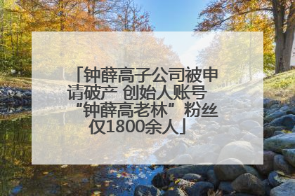 钟薛高子公司被申请破产 创始人账号“钟薛高老林”粉丝仅1800余人