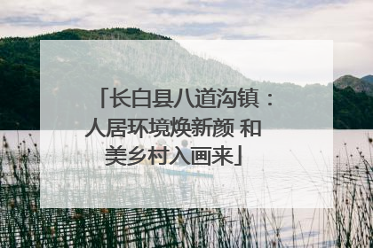 长白县八道沟镇：人居环境焕新颜 和美乡村入画来